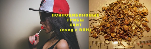 apvp Семилуки