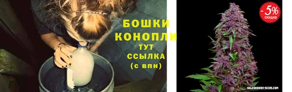 apvp Семилуки