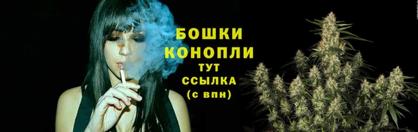 apvp Семилуки