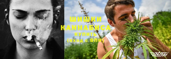 apvp Семилуки