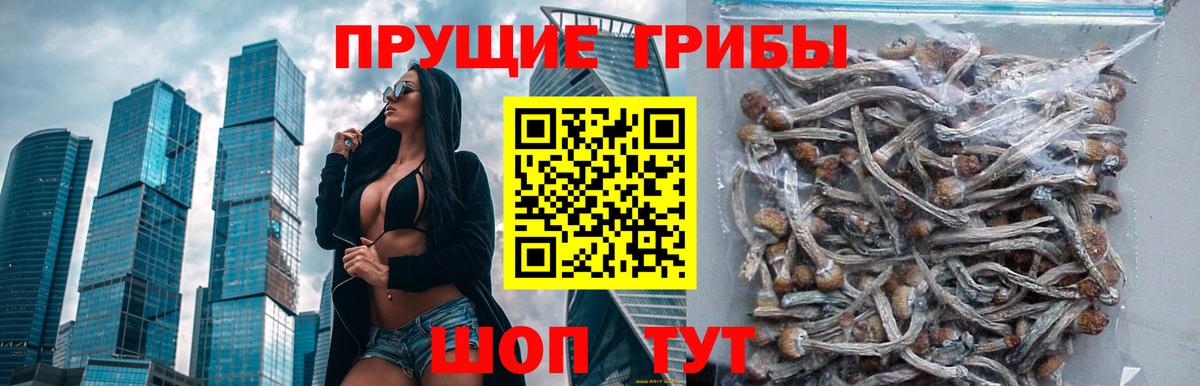 Москва  Галлюциногенные грибы мухоморы  Вход с VPN  Псилоцибиновые грибы MAGIC MUSHROOMS 